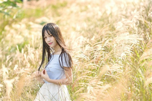 Shanghai's back garden： Four seasons of brilliance, making you linger forever!